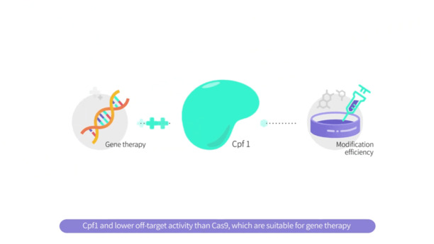 ½æ³×ÀÏ À̹ÌÁö