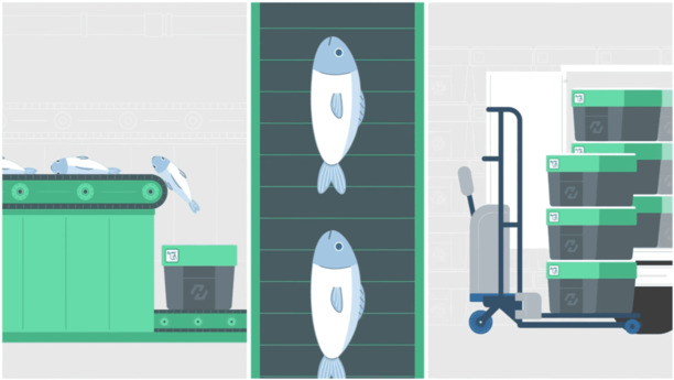 ½æ³×ÀÏ À̹ÌÁö