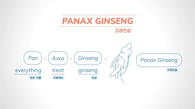 ½æ³×ÀÏ À̹ÌÁö