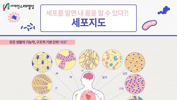 ½æ³×ÀÏ À̹ÌÁö